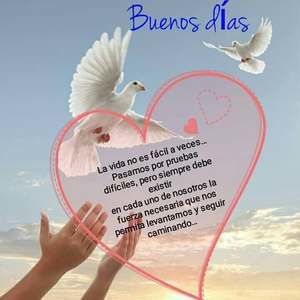 Meet your Posher, Bernardo